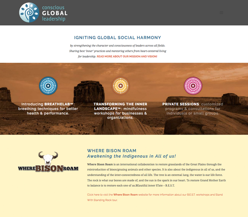 Conscious Global Leadership website